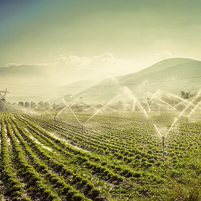 La technologie CPM (Continuous Pipe Manufactured) d'Inpulse Pipe trouve de nombreuses applications, comme l'irrigation